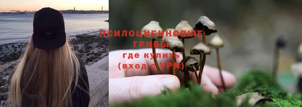 не бодяженный Михайловск