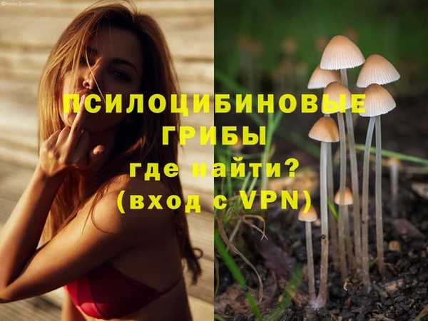 трава Соль-Илецк