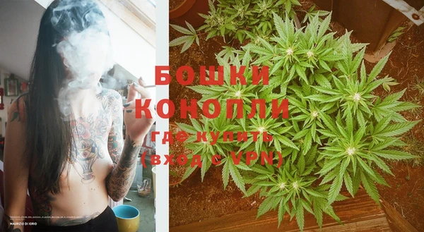 ПСИЛОЦИБИНОВЫЕ ГРИБЫ Михайловка