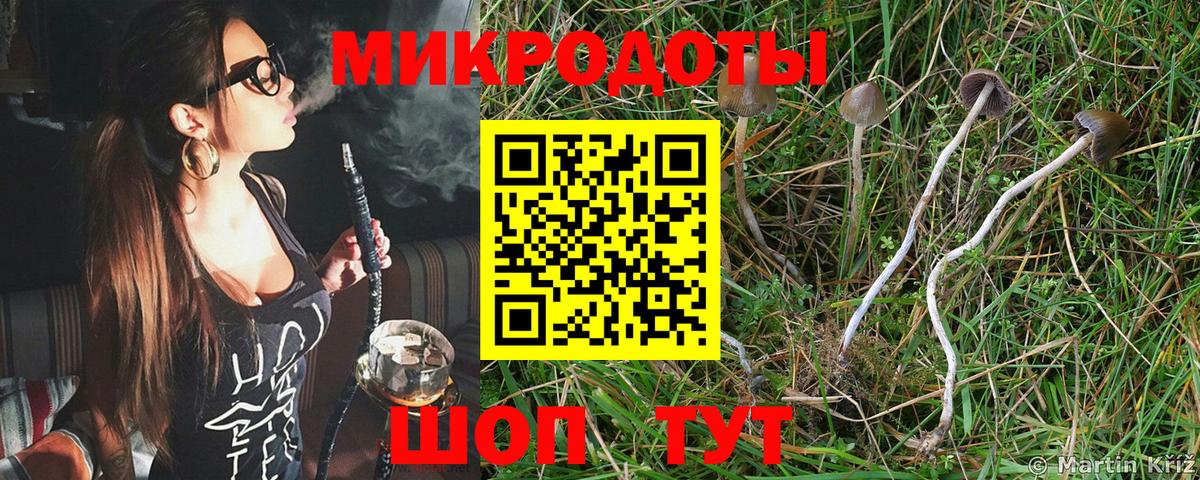 Галлюциногенные грибы GOLDEN TEACHER  Шуя 