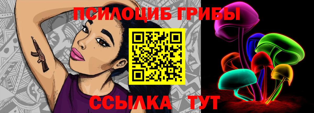 Псилоцибиновые грибы Magic Shrooms  Вход с VPN  Шуя  Псилоцибиновые грибы Magic Shrooms 