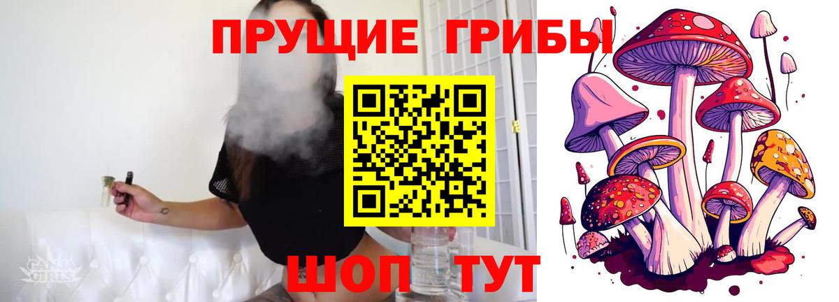 Галлюциногенные грибы GOLDEN TEACHER Шуя