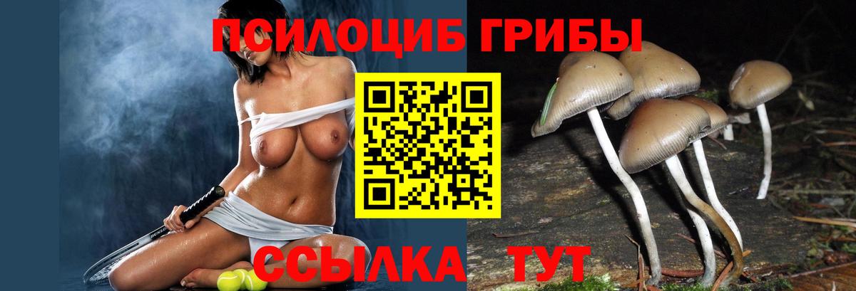 Псилоцибиновые грибы Magic Shrooms Шуя