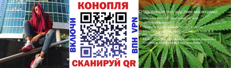 Конопля конопля  Шуя 