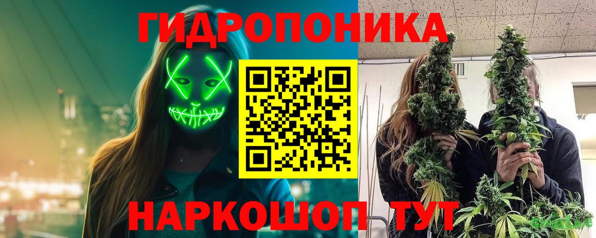 Каннабис Ganja Шуя